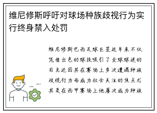 维尼修斯呼吁对球场种族歧视行为实行终身禁入处罚