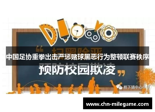 中国足协重拳出击严惩赌球黑恶行为整顿联赛秩序